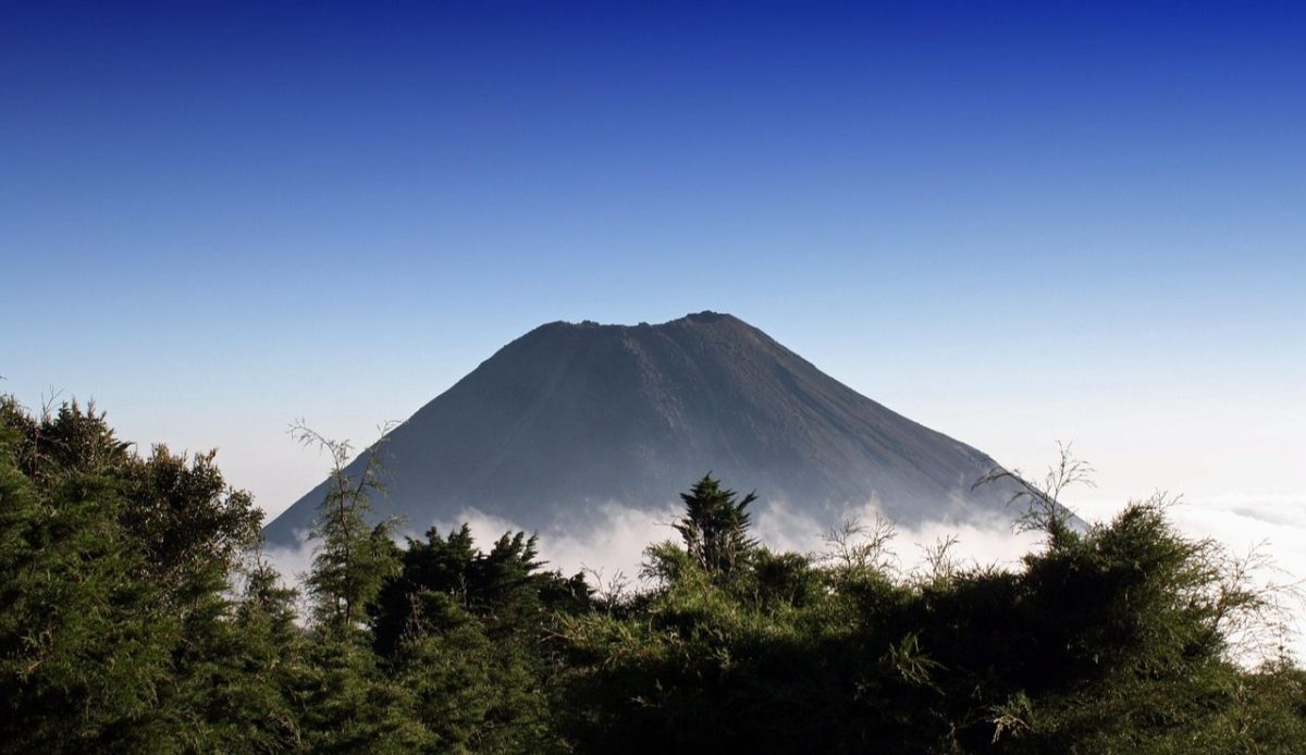 10 Hidden Gem Destinations in El Salvador Worth Visiting 8 Montecristo Cloud Forest