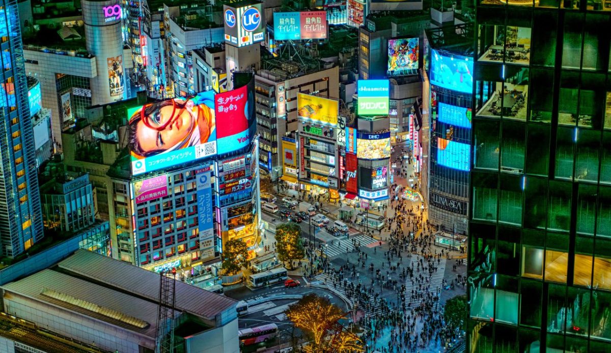 Experience Shibuya Crossing and Hachiko