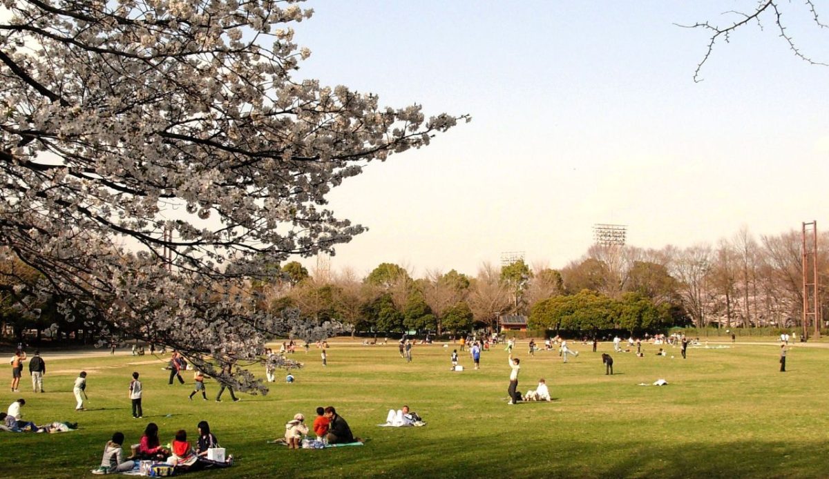 Relax in Parks and Observation Decks