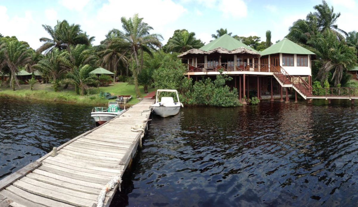  Loango National Park, Gabon