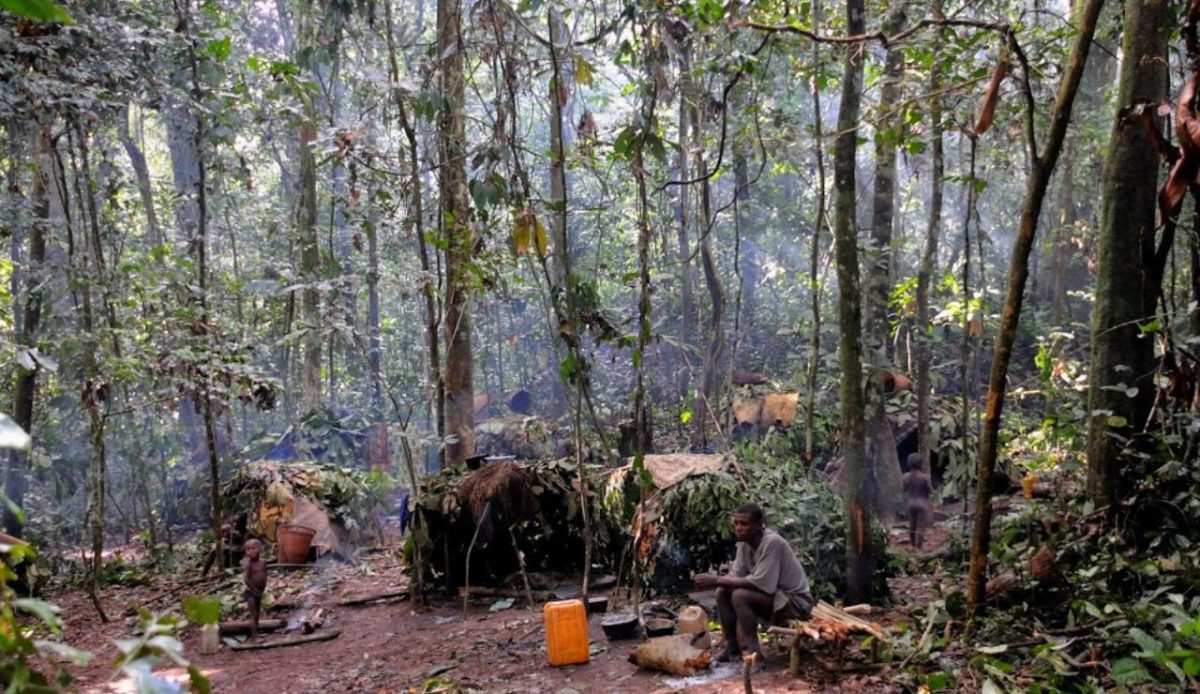 Dzanga-Sangha Reserve, Central African Republic