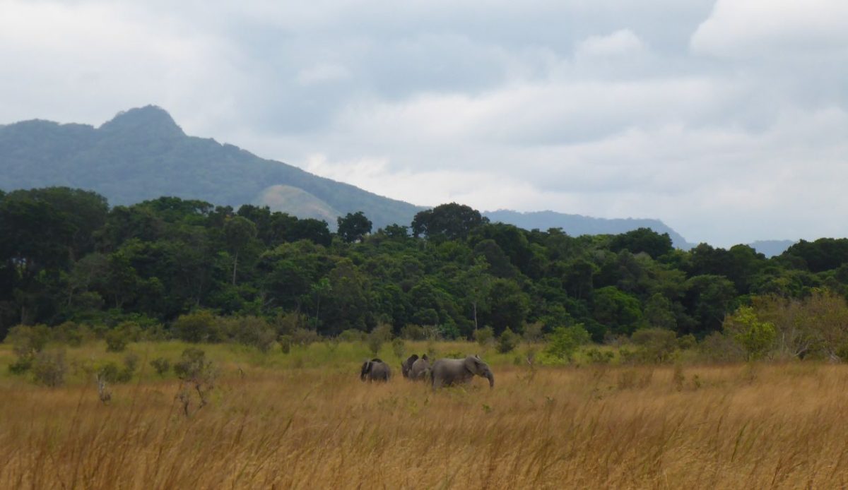 Lope National Park, Gabon