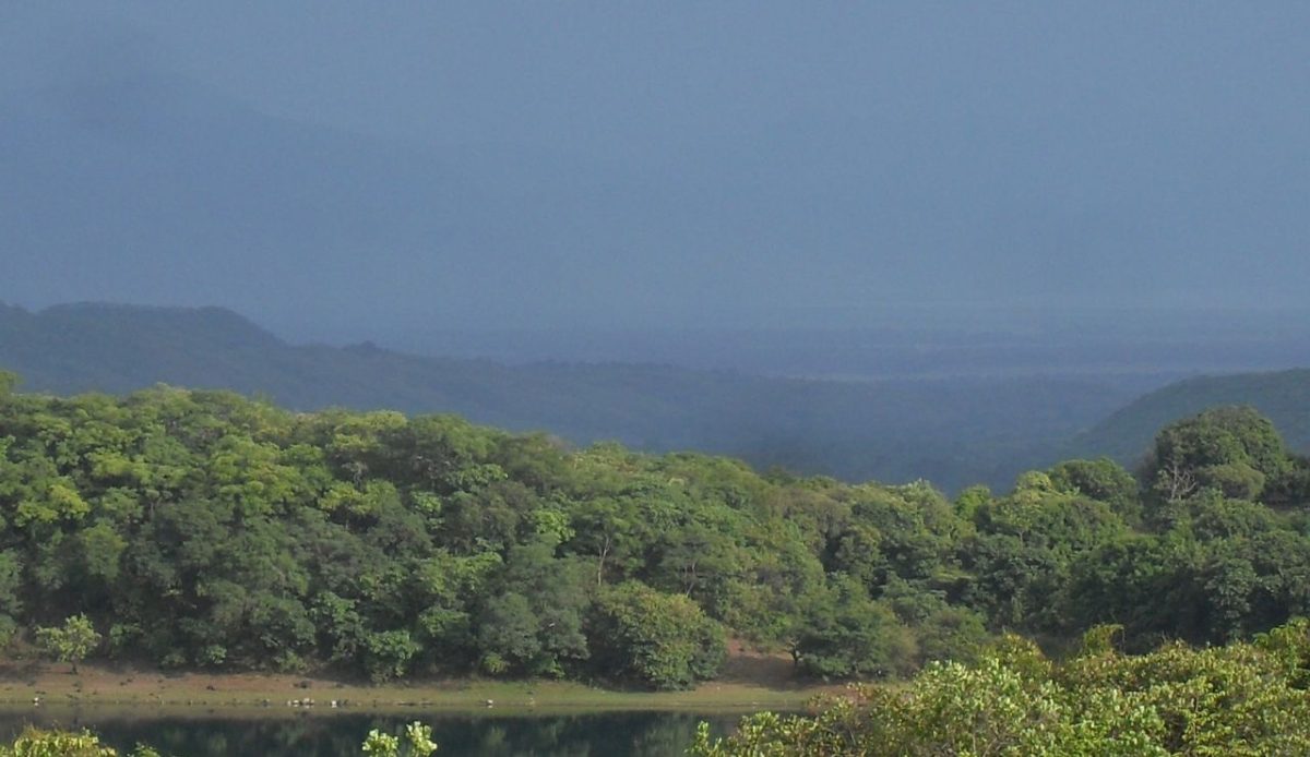 Kisiba Island, Democratic Republic of Congo