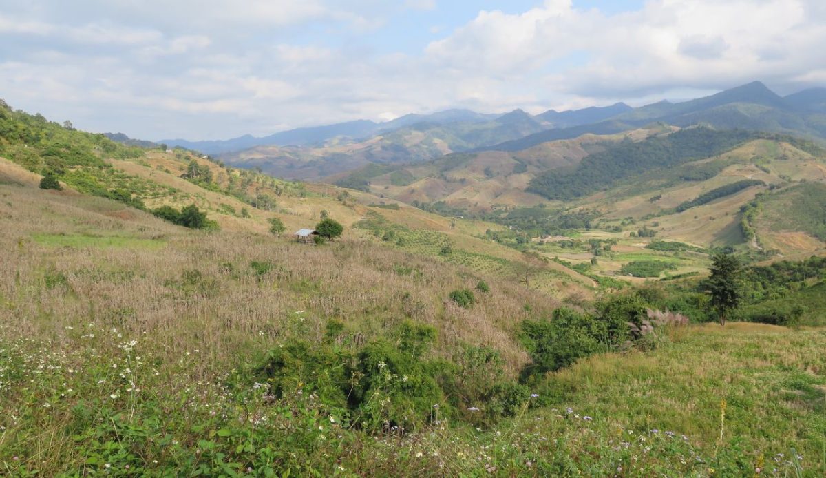 Chiang Rai Countryside, Thailand