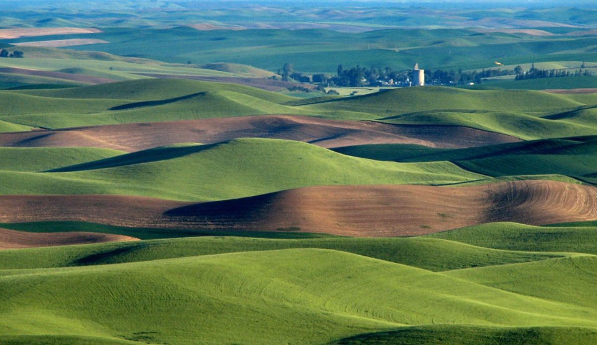 The Palouse, Washington/Idaho, USA 