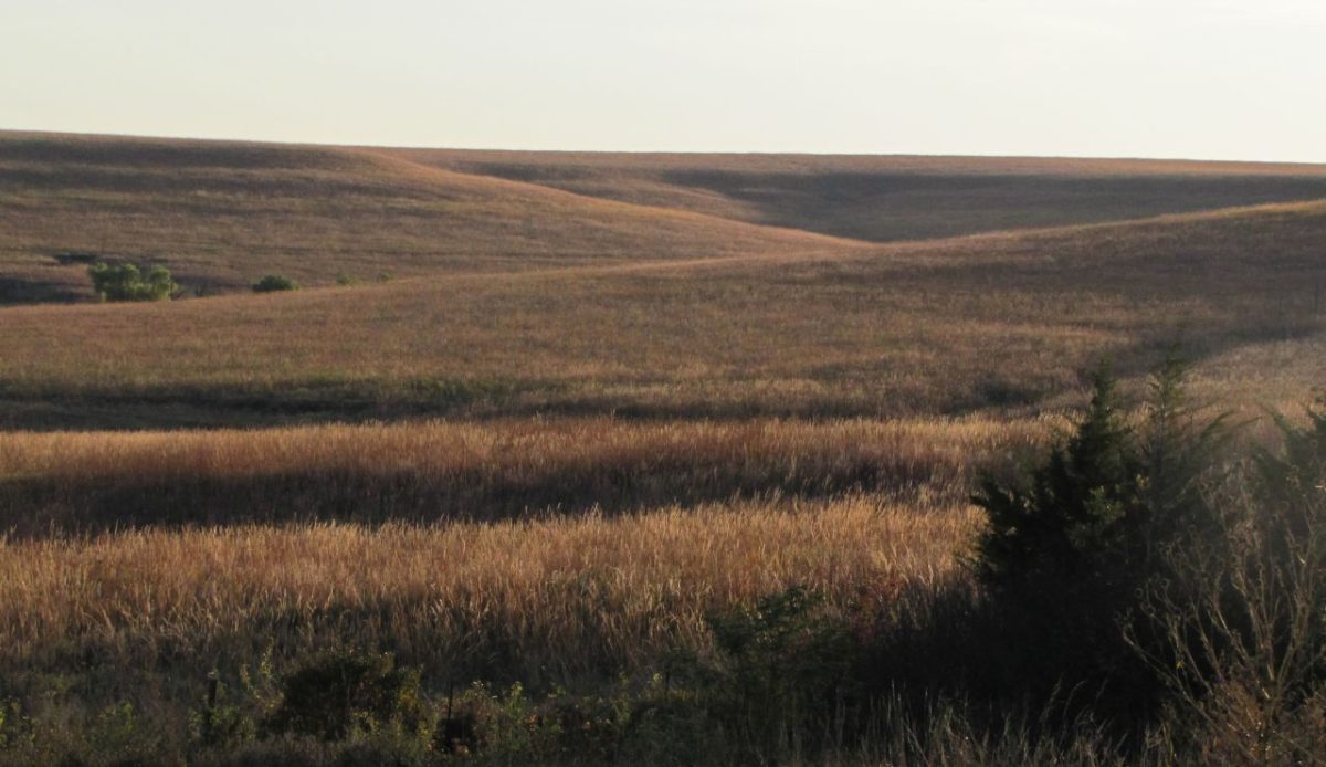 13 Vast Prairie Landscapes That Feel Pulled Straight From a Classic Novel 1