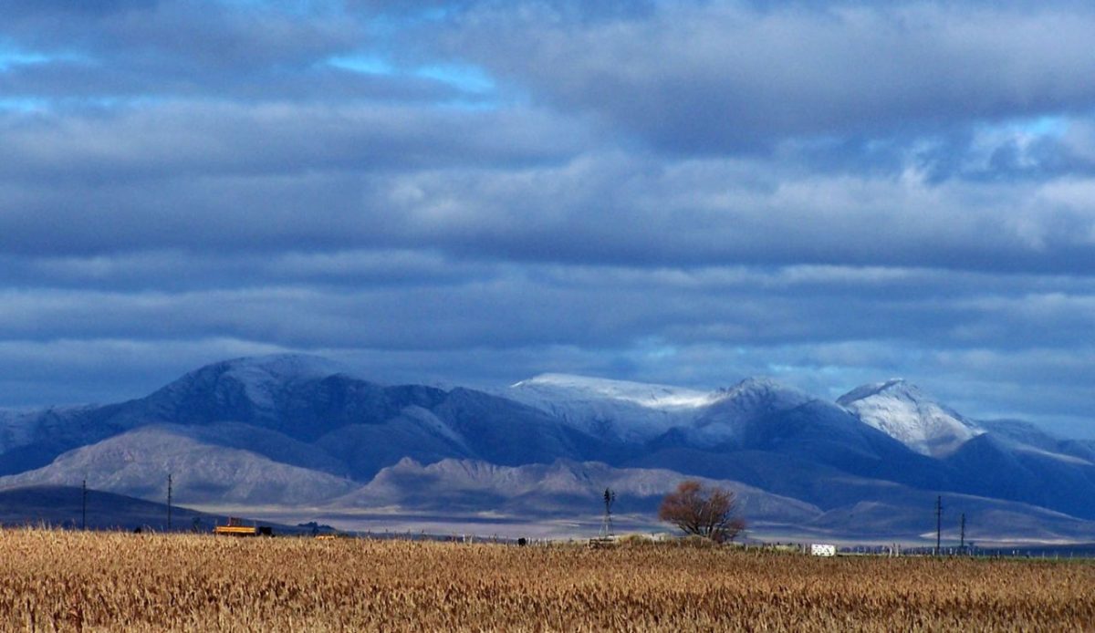 The Pampas, Argentina 