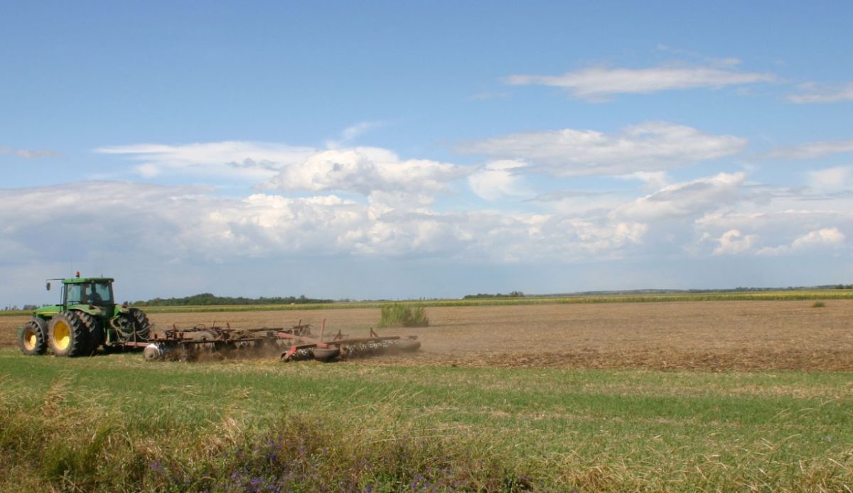 Hungarian Puszta (Great Plain), Hungary 