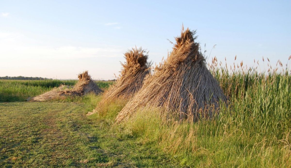 Hortobagy National Park, Hungary