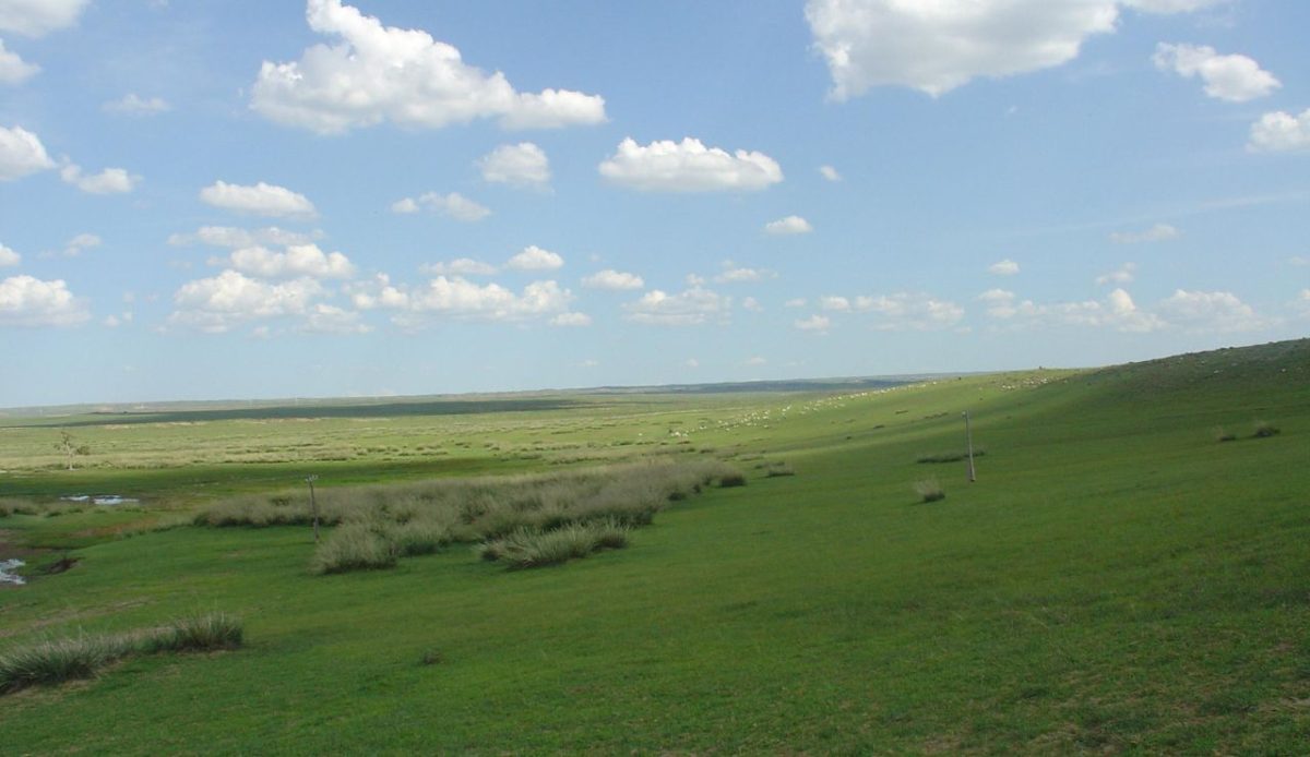 Mongolian Steppe, Mongolia 