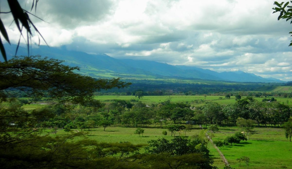 The Llanos, Venezuela/Colombia