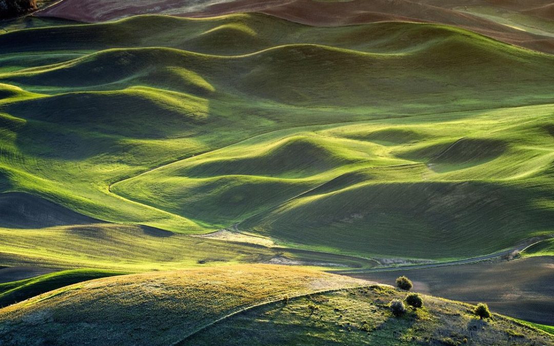 13 Vast Prairie Landscapes That Feel Pulled Straight From a Classic Novel