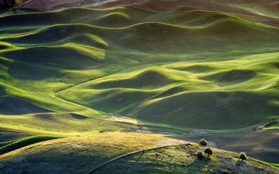 13 Vast Prairie Landscapes That Feel Pulled Straight From a Classic Novel