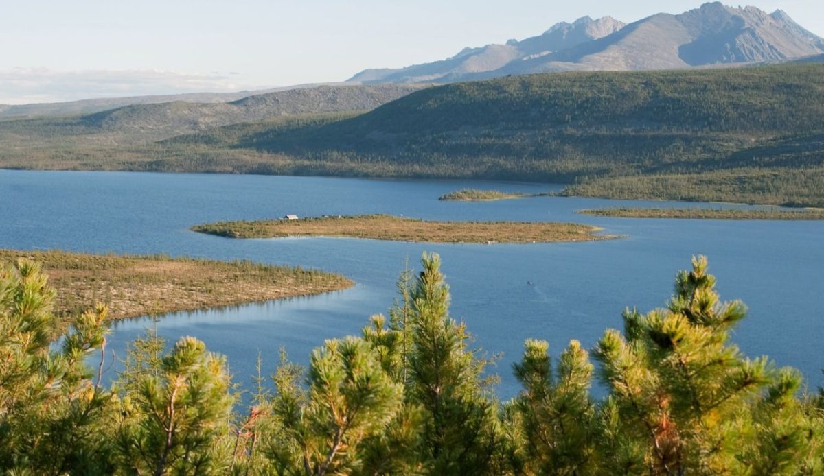 Siberian Taiga, Russia