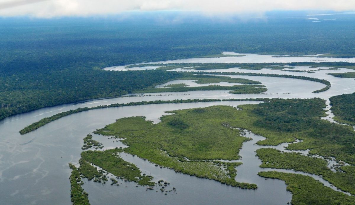 The Amazon Rainforest, South America