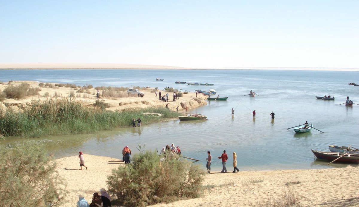 Fayoum Oasis
