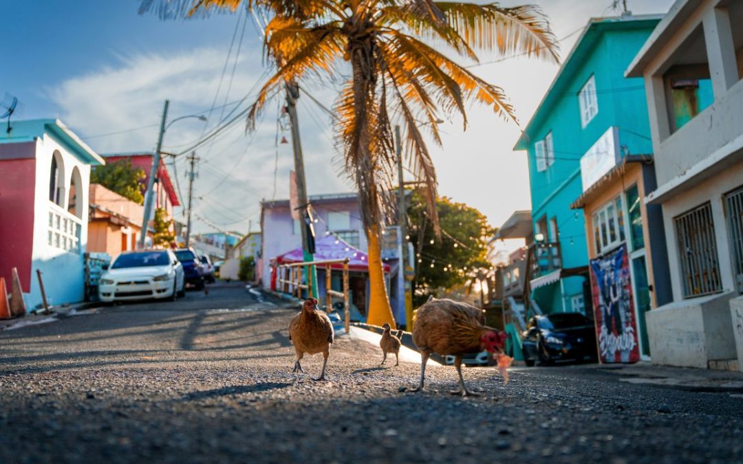 7 Unwritten Rules Travelers Should Know Before Visiting San Juan