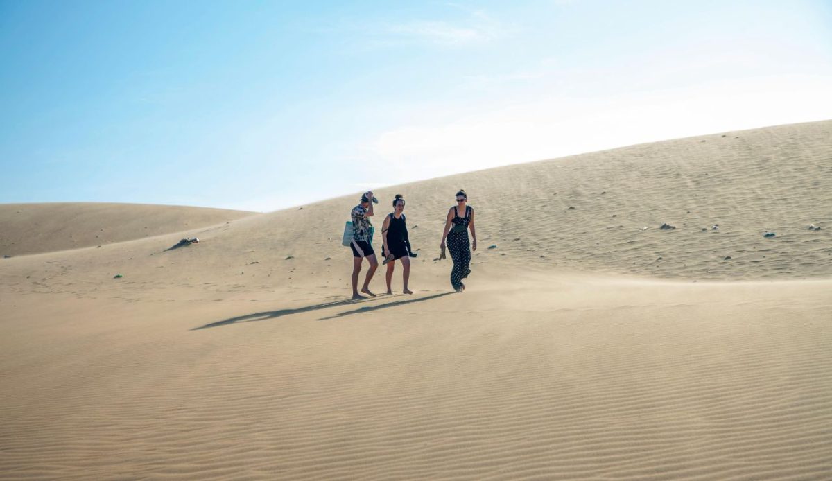 Travel With a Guide or Group