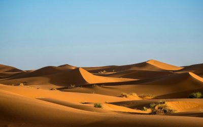 11 Desert Expedition Tips Most First-Time Travelers Overlook