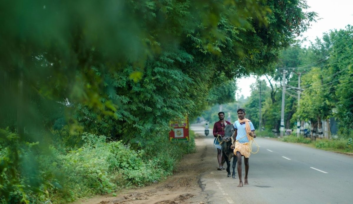 Alanganallur, Tamil Nadu