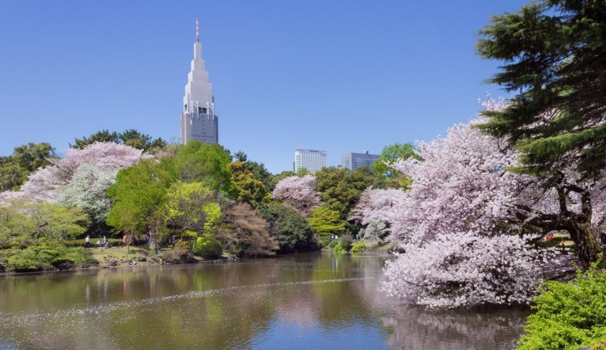  Urban Green Spaces and Parks