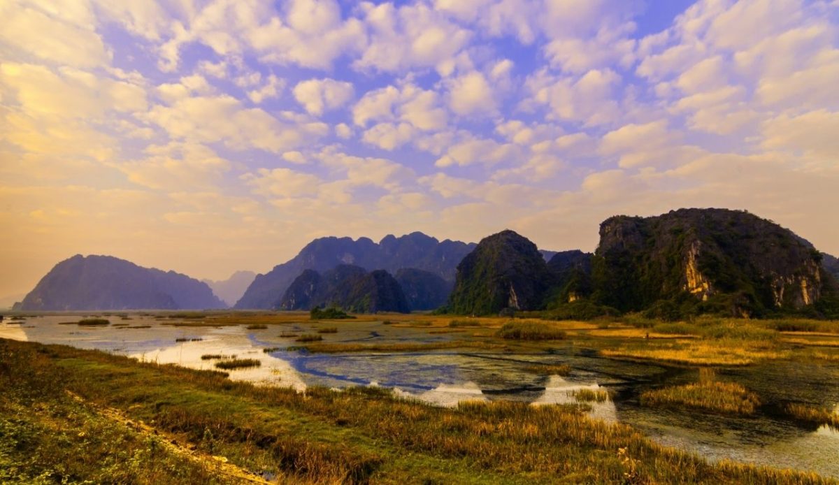 Van Long Wetland Nature Reserve                             
