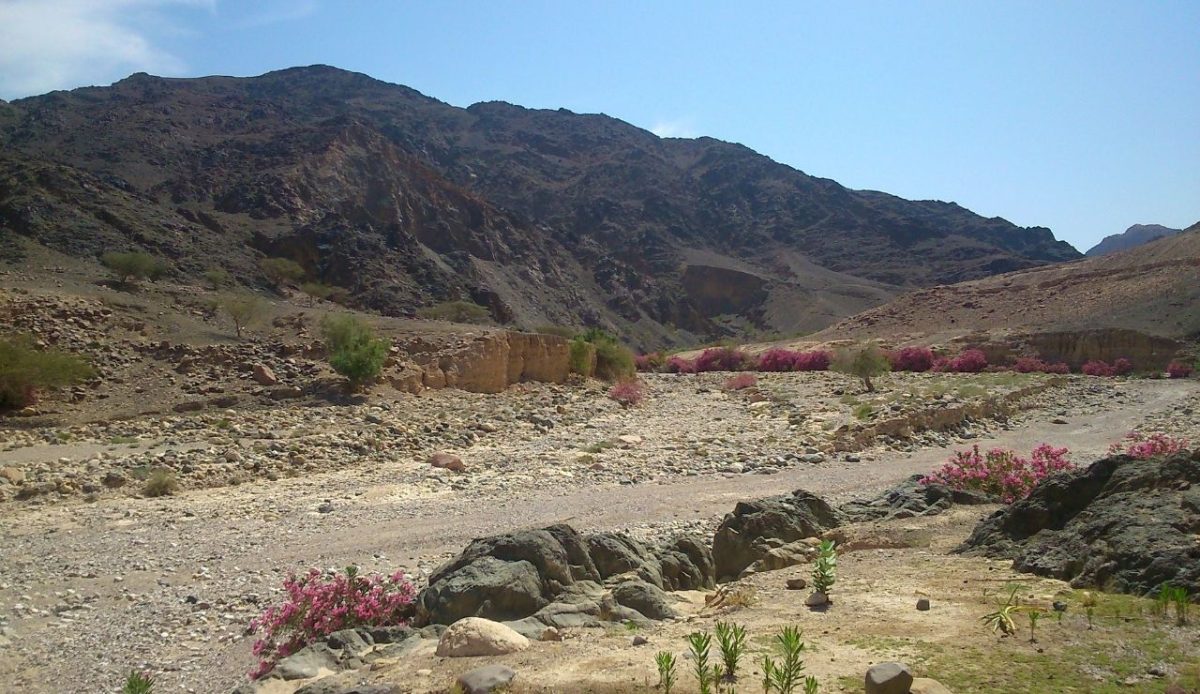 10 Middle East Destinations Known for Strong Privacy and Quiet Traditions 5 Wadi Feynan, Jordan