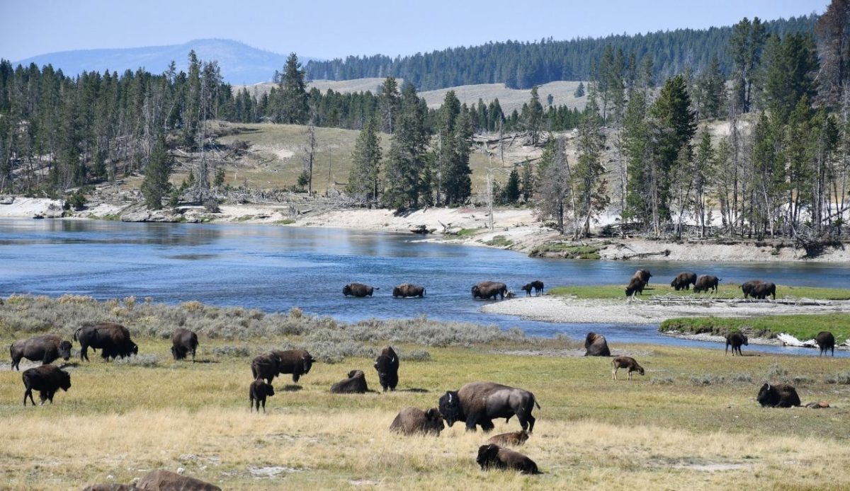 Yellowstone National Park, Wyoming, United States