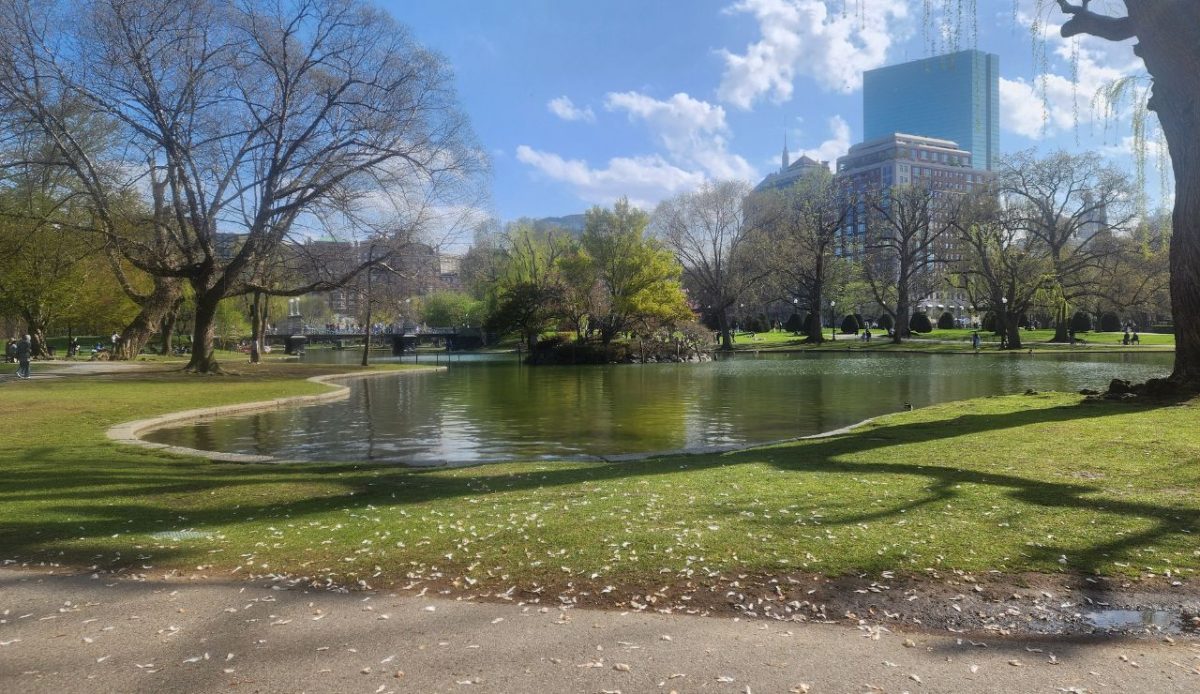Visit the Boston Common and Public Garden