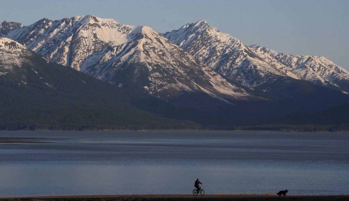 a biker and his dog on the Bird to Girdwood bike trail with Turnagain Arm and the Kenai Mountains in the background                                     