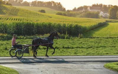 9 Amish Country Travel Tips That Make Your Visit Smoother and More Respectful