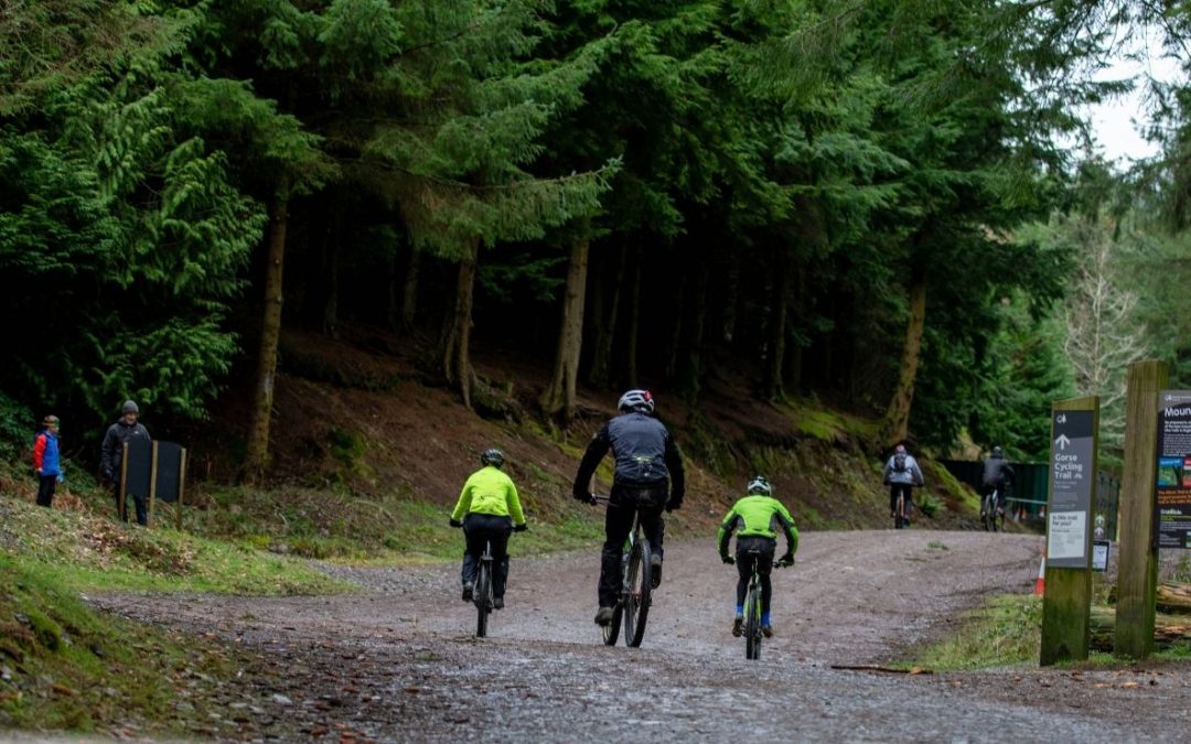 9 U.S. Cities With the Best Bike Trails and the Most Reported Injuries
