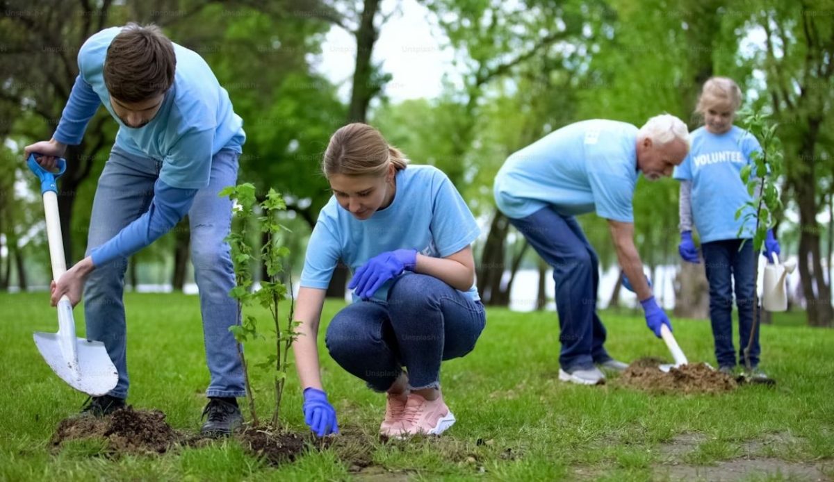 children volunteers