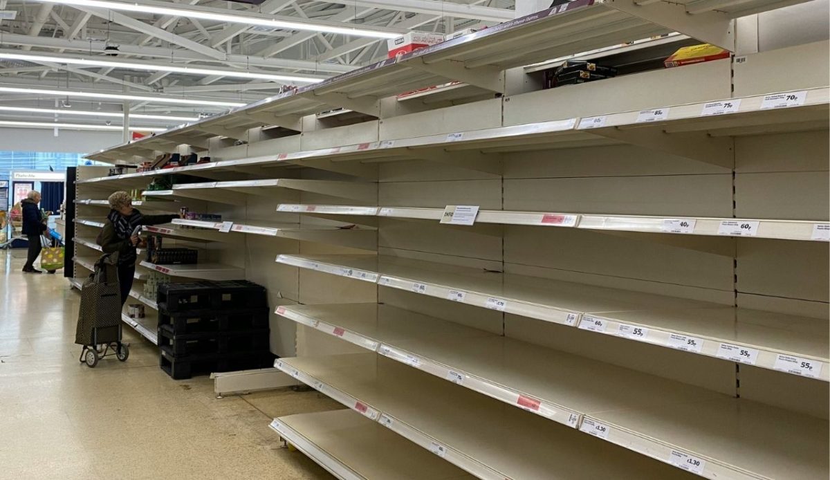 empty shelves at grocery store                   