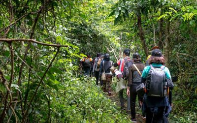 10 Remote Jungle Treks Only Experienced Adventurers Attempt
