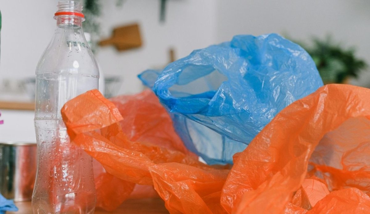 plastic bag                     