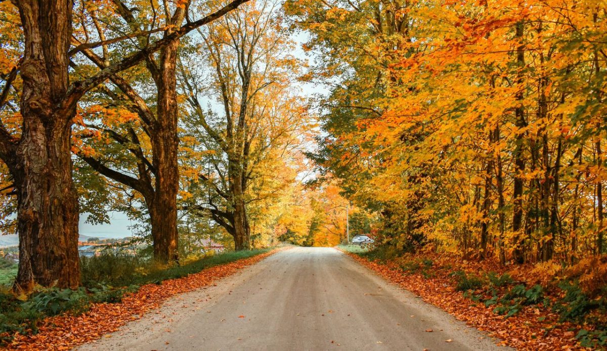 Smugglers’ Notch Scenic Drive