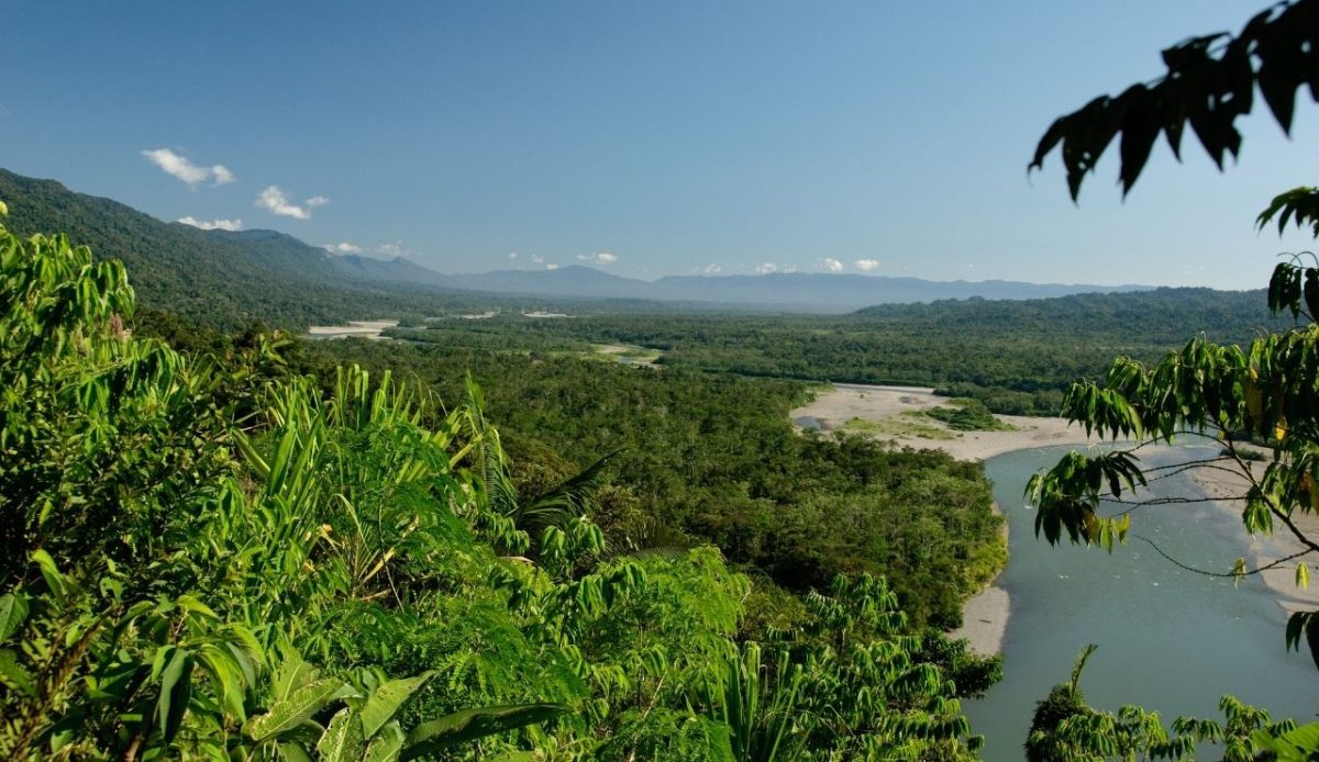 River in Manu National Park                    