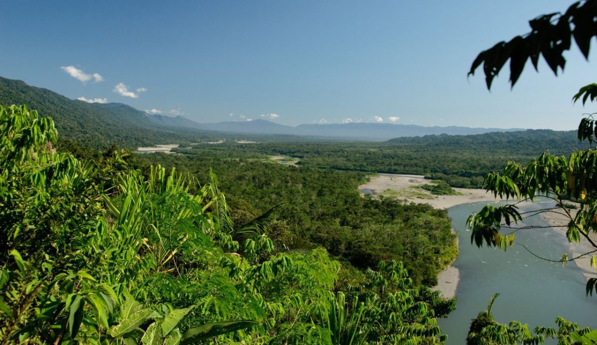 Manu National Park, Peru