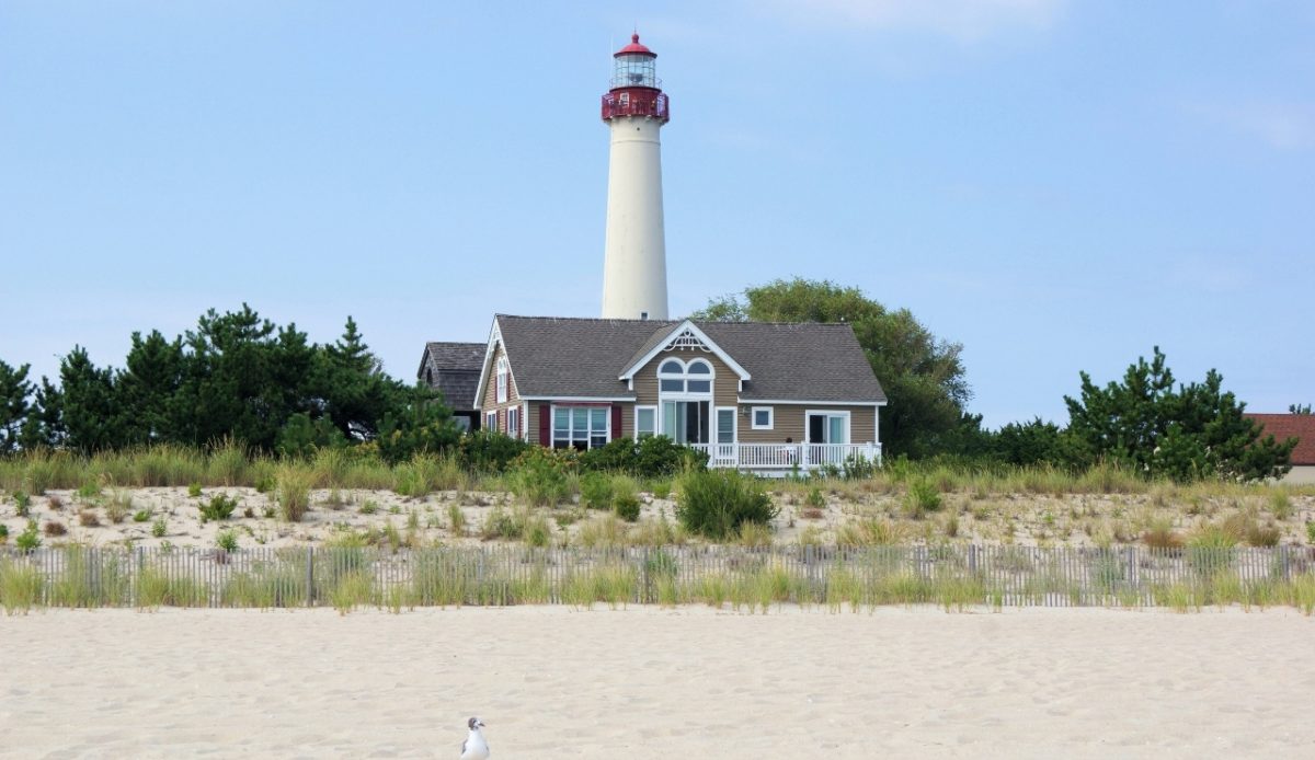Lighthouse and beach house by the shore with a seagull in Cape May, New Jersey 
