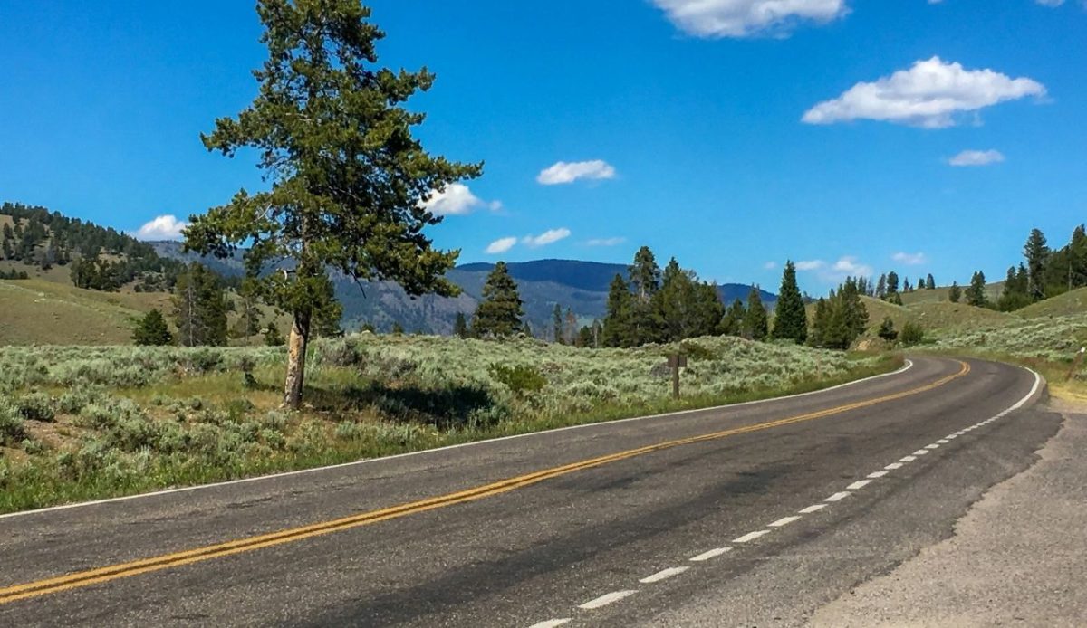 Grand Loop Road, Yellowstone National Park, Wyoming, USA                          