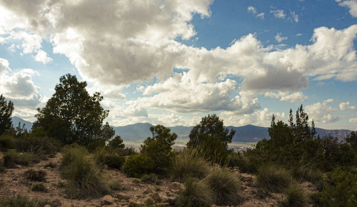 Batna, Algeria                              