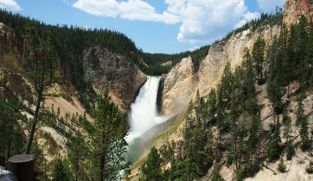 12 Parks You’re Personally Wrecking 5 Lower Falls in Yellowstone National Park, Wyoming, USA, surrounded by trees and cliffs