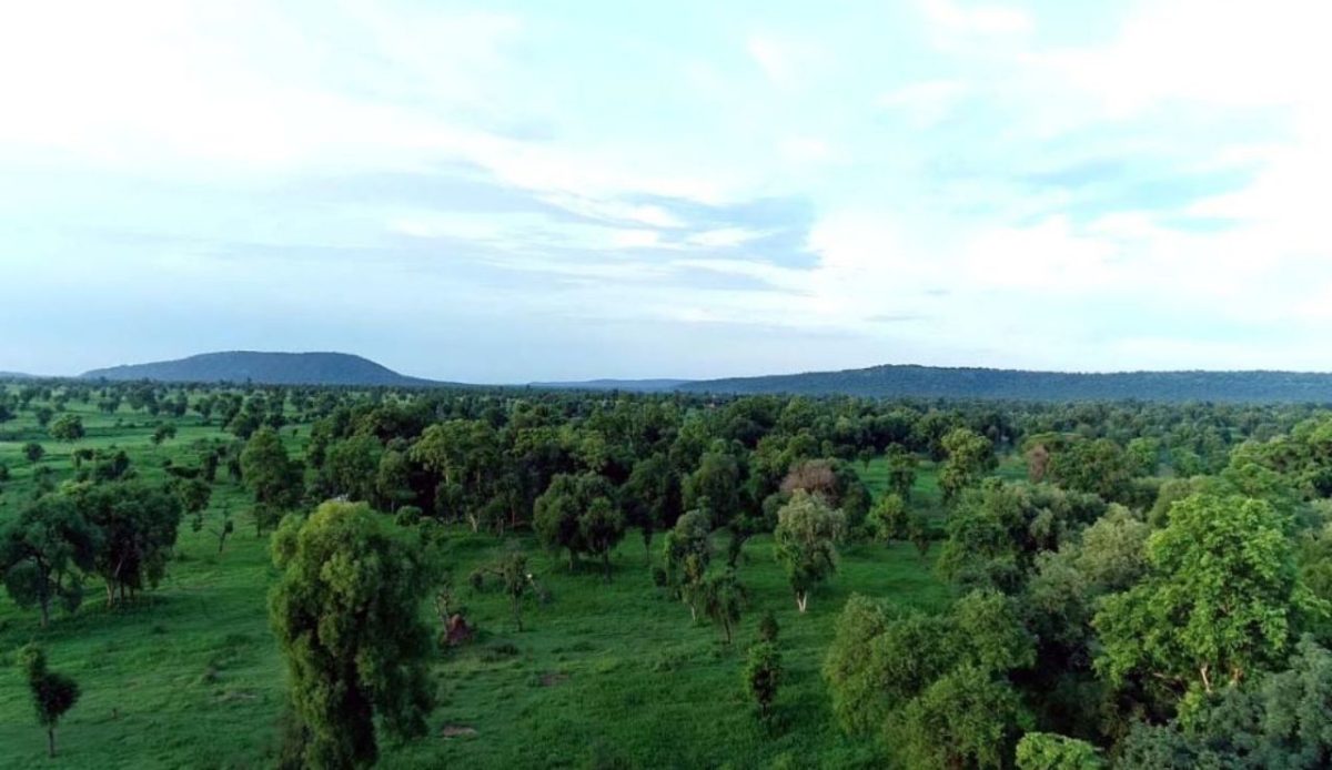 Alatish National Park                                 
