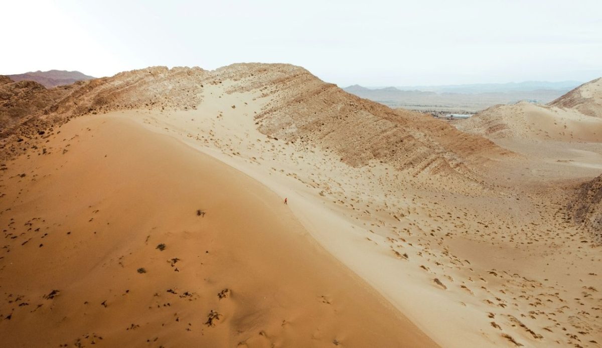 Algerian desert , Biskra the gate of desert sahara                                  