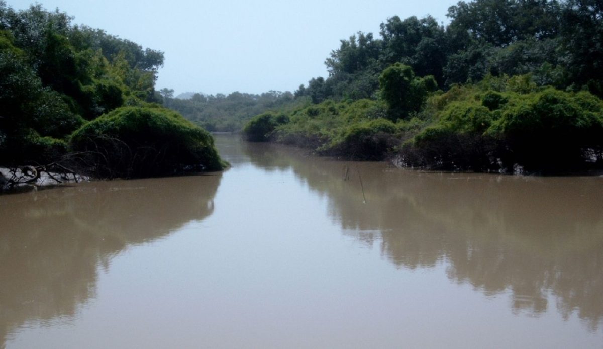 Arly National Park, Burkina Faso                                   