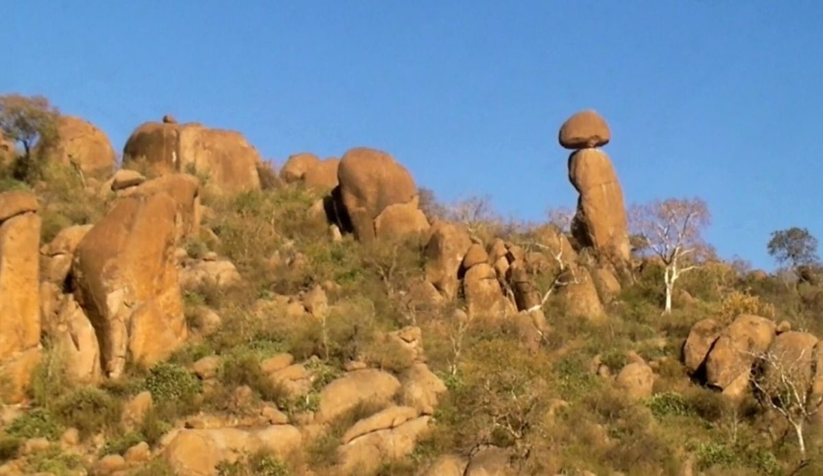 Babile Elephant Sanctuary                                      