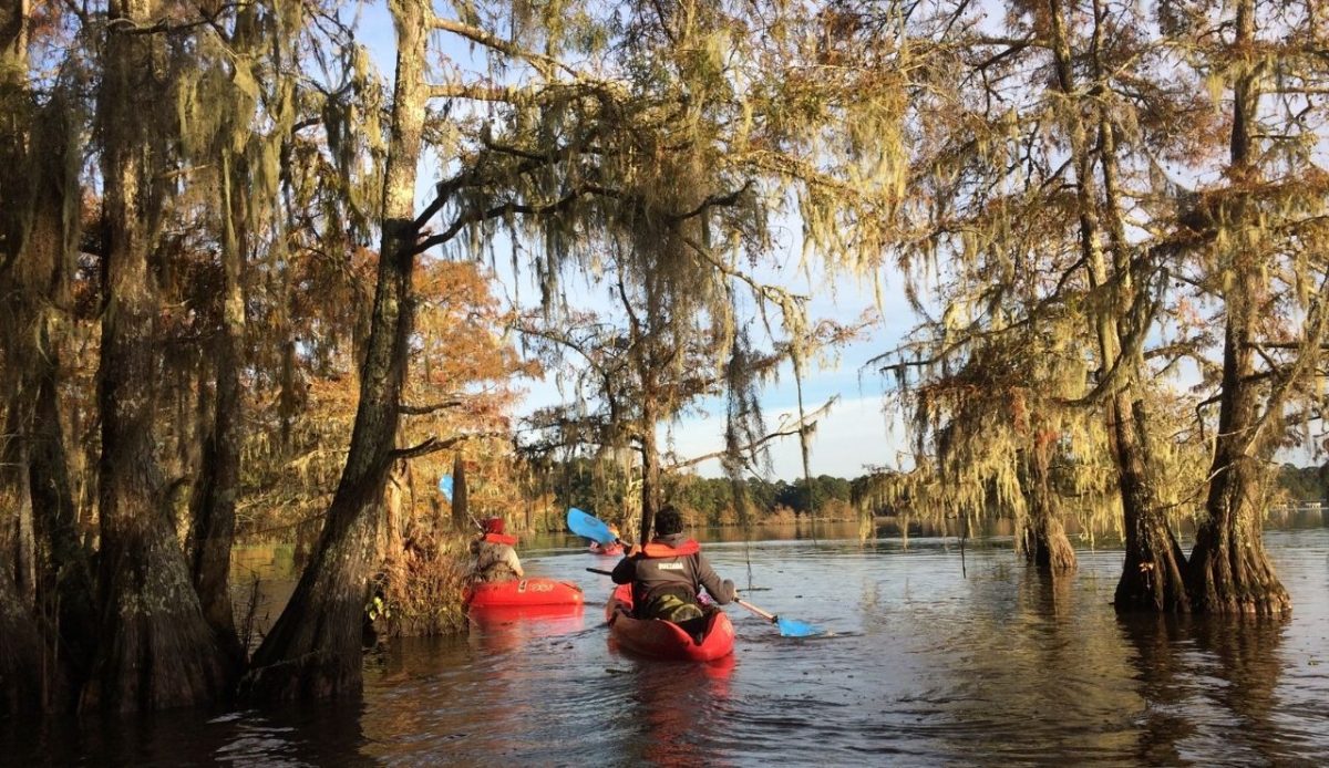 Big Thicket National Preserve, Texas                                       
