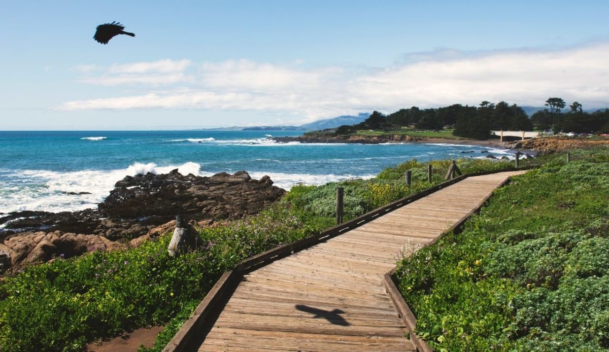 Cambria, United States                                              