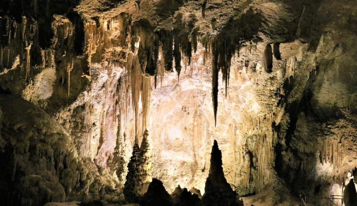 Carlsbad Caverns National Park, New Mexico, USA                                     